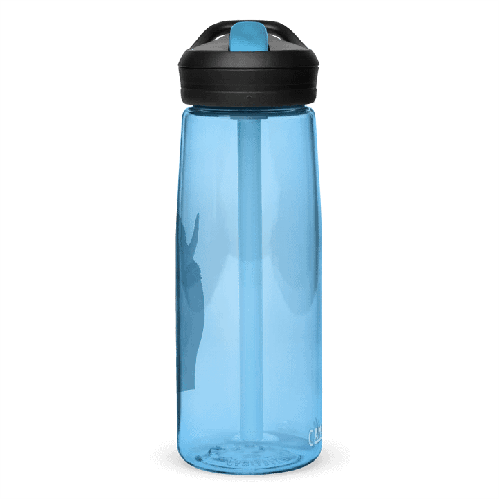 Bison Drawing Water Bottle Straw product image (59)
