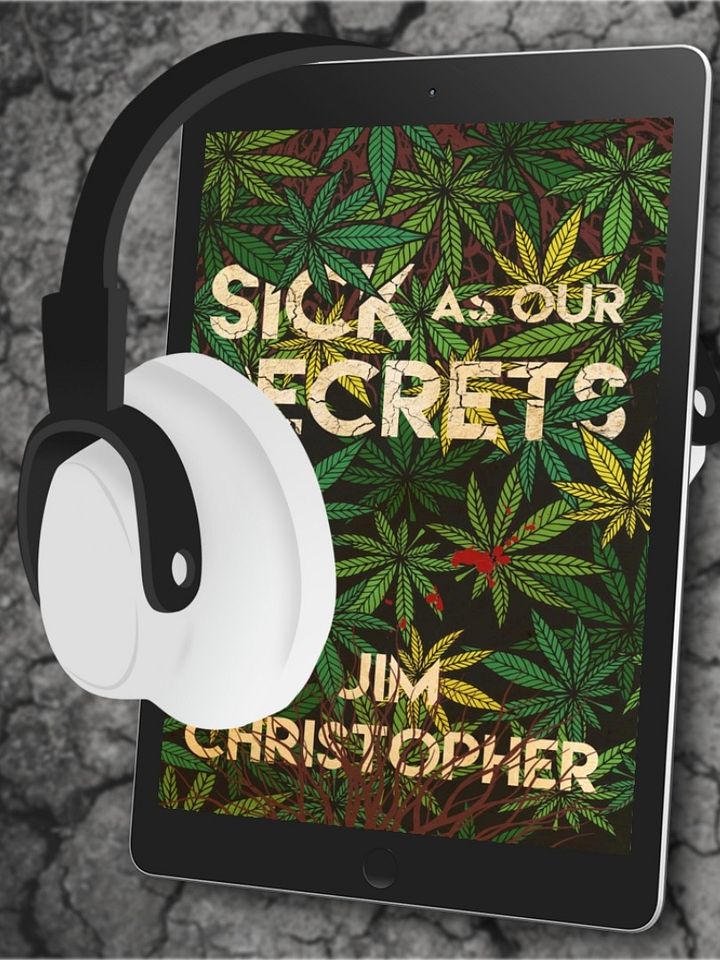 Sick as our Secrets audiobook product image (1)