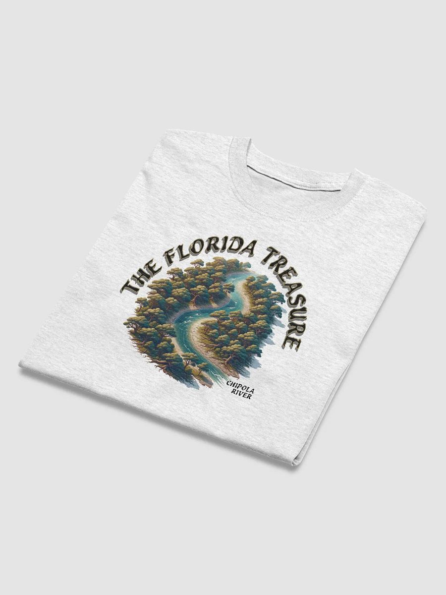 The Florida Treasure Tee product image (5)