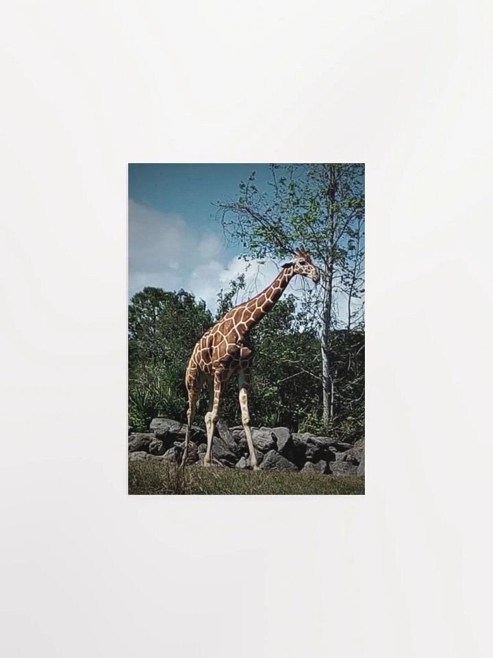 Giraffe Dark Edit product image (7)