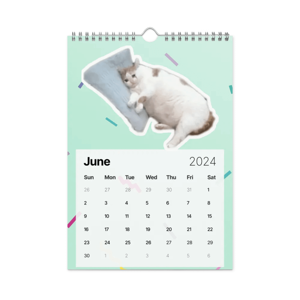 Wall Calendar (2024): Meme Cats product image (12)