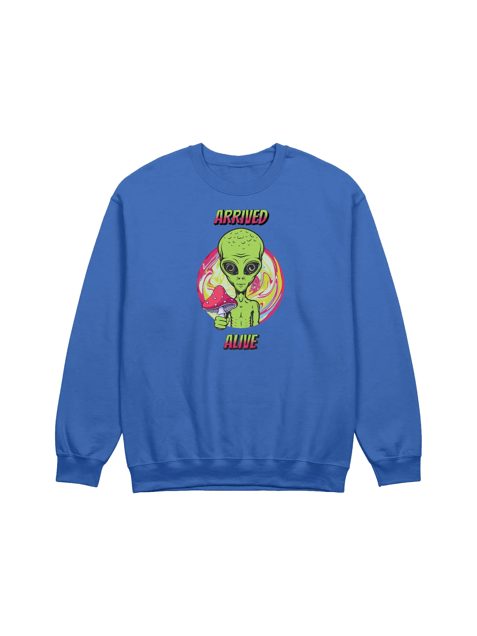 ARRIVED ALIVE ALIEN SWEATSHIRT product image (1)