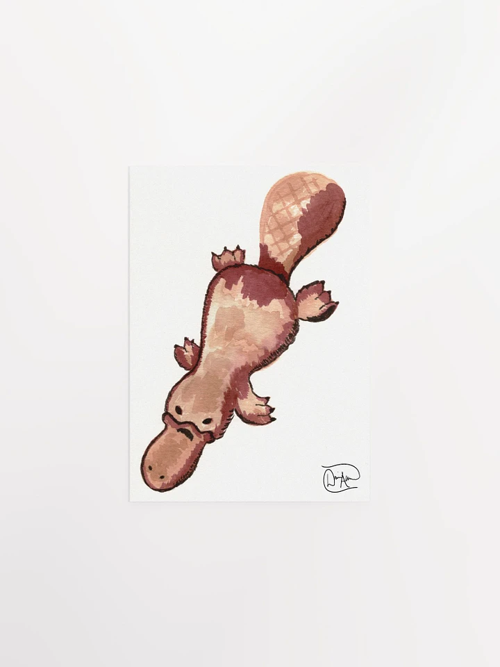 Platypus #66768 Watercolour Print product image (1)