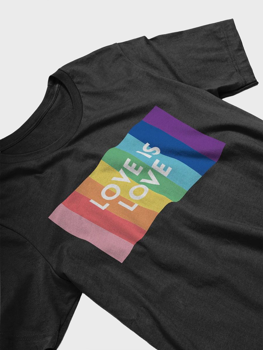 EMPOWER PRIDE SHIRT product image (3)