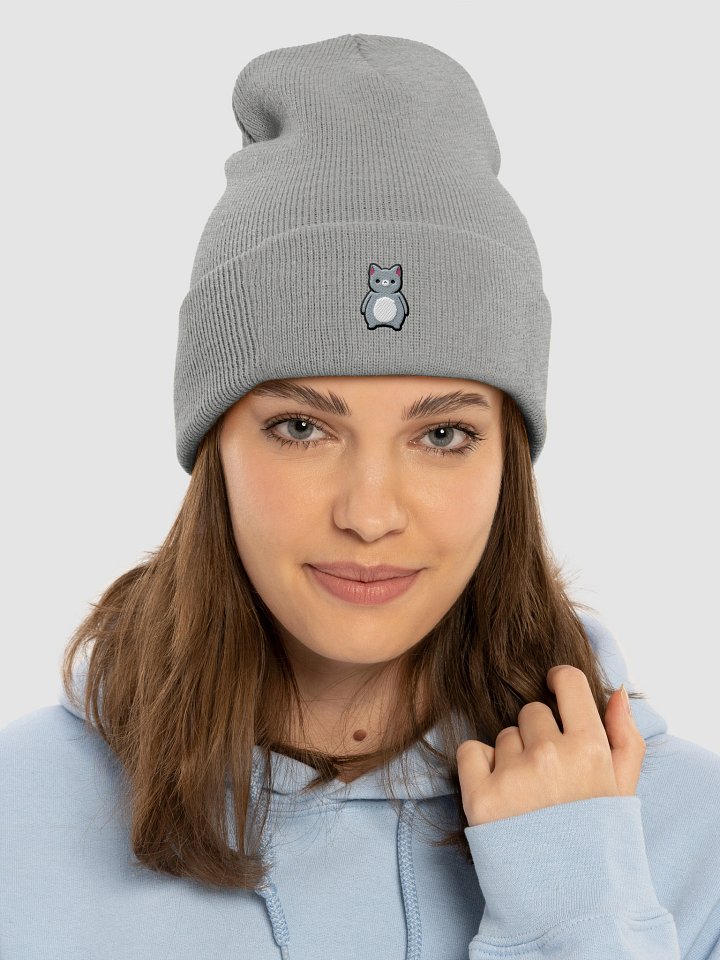 DrewpyCHONK Beanie product image (39)