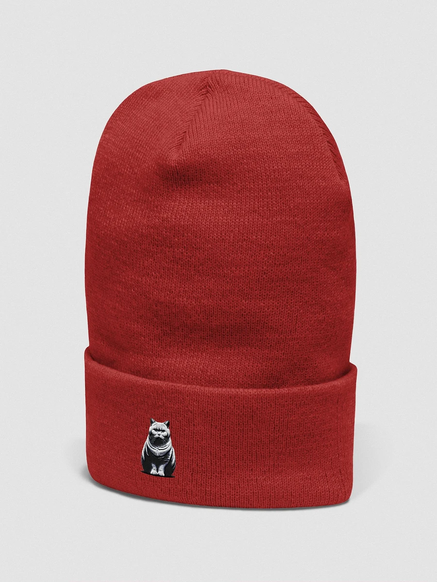 Yupoong Cuffed Beanie: British Shorthair product image (33)