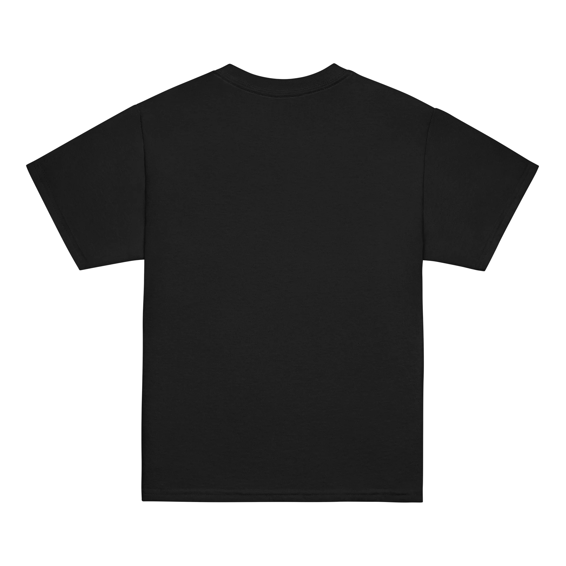 We Who Endure Logo with Verse - YOUTH T-Shirt product image (4)