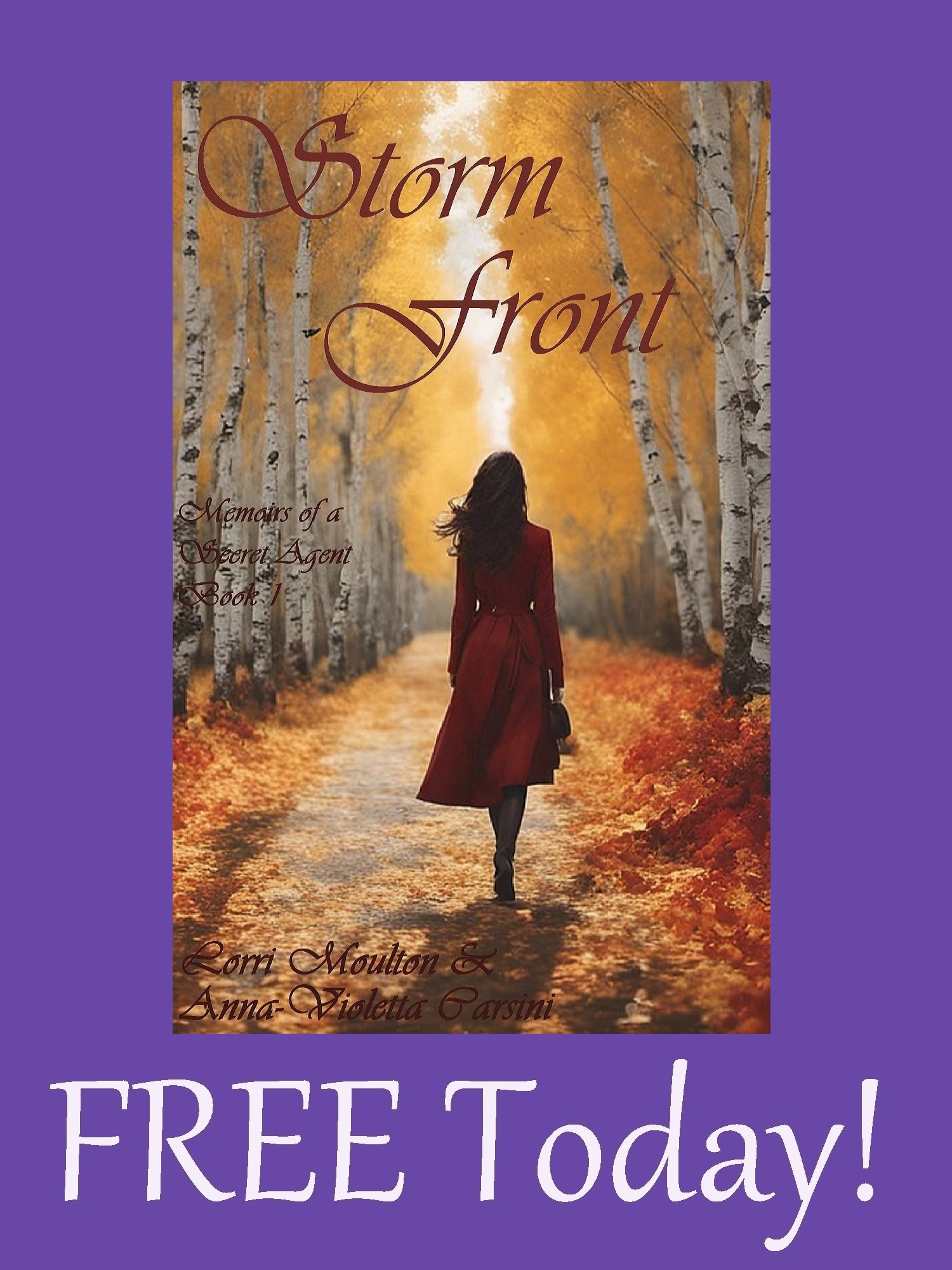 Storm Front EBOOK - FREE TODAY! product image (1)