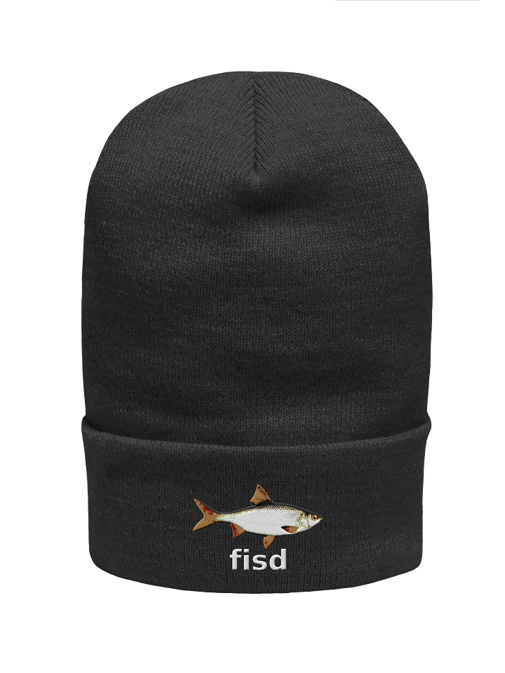 fisd beanie product image (1)