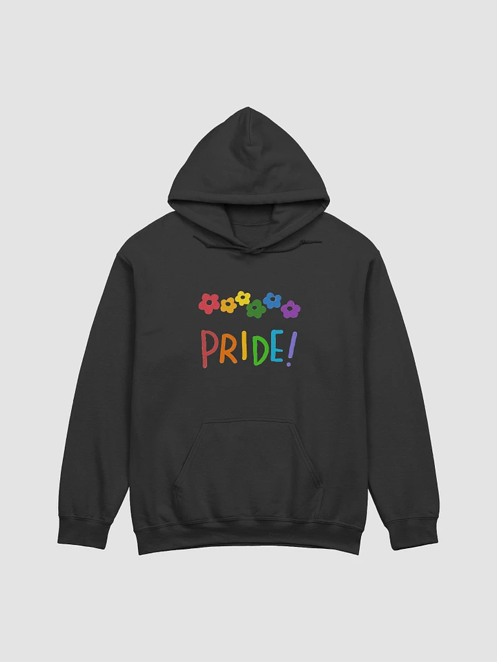 Pride hoodie product image (1)