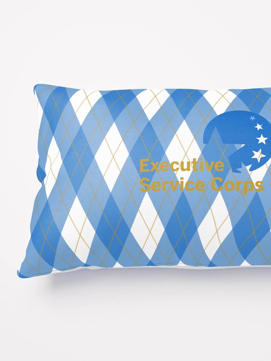 Pillow in Argyle product image (3)