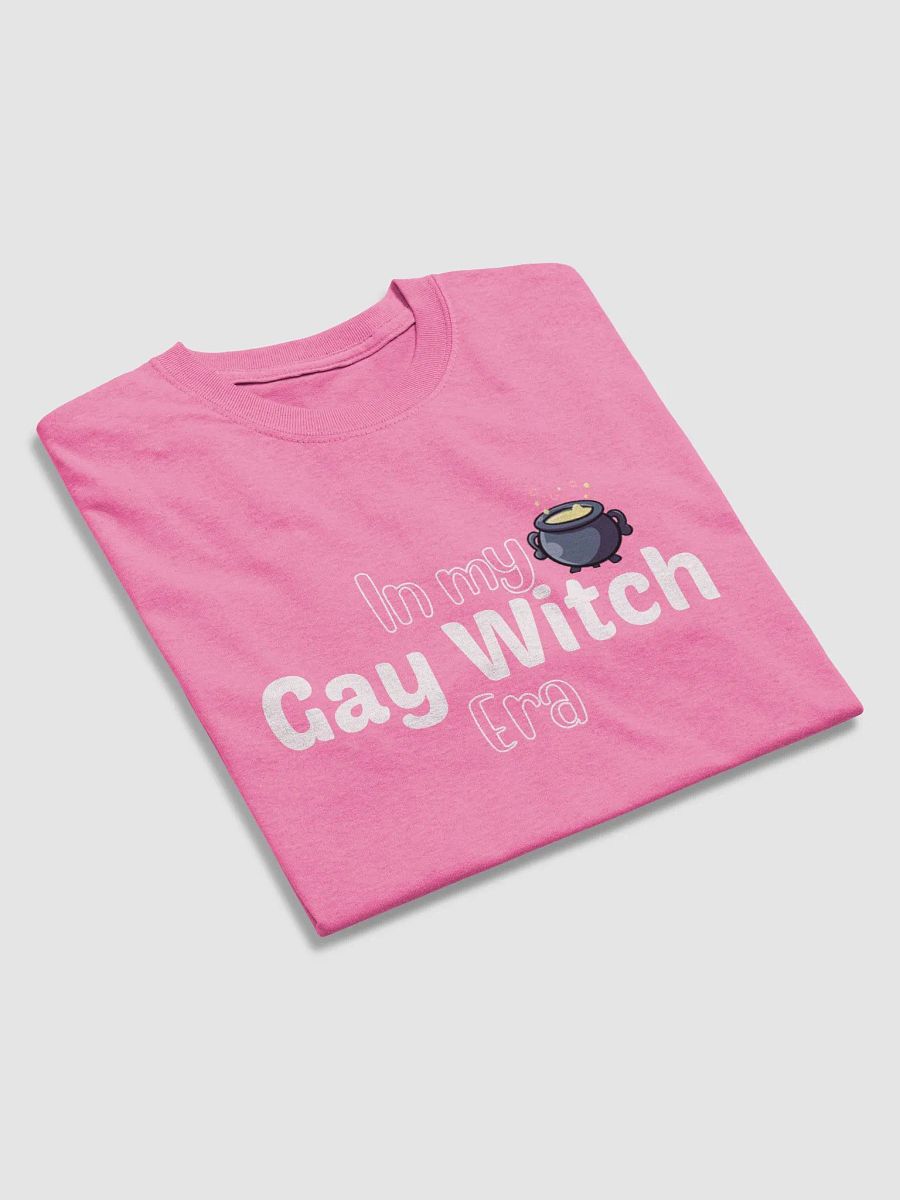 Gay Witch Era product image (3)