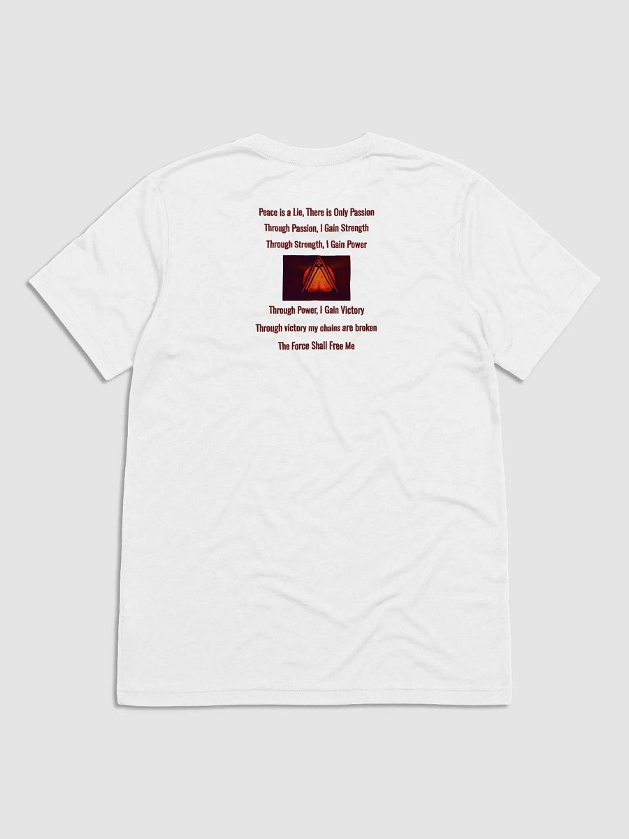 SWMP Logo & DS Code TriBlend Double Sided T product image (2)