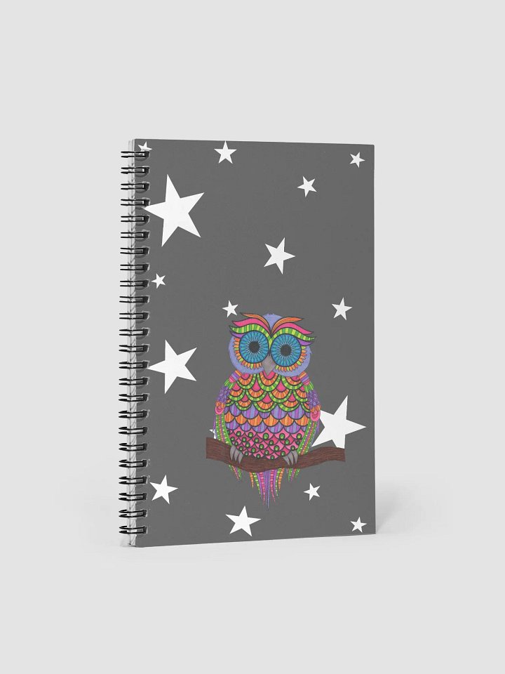 Mr. Owl Notebook product image (1)