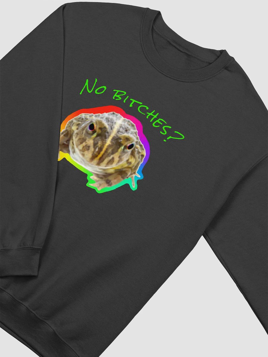 Rainbow Toad Meme Sweater product image (3)