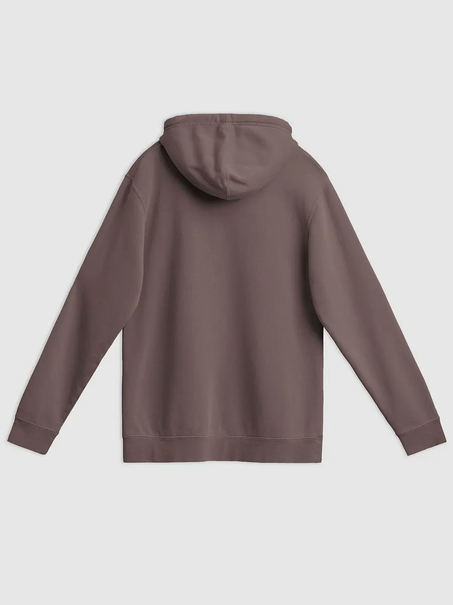 Bubbly and a B*tch (lined design, #E1B9CE) printed pigment hoodie product image (16)