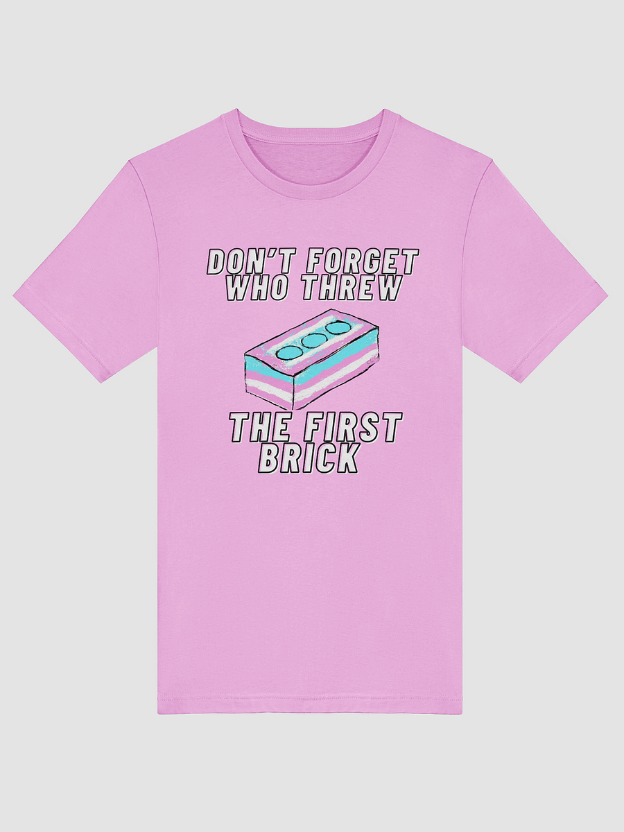 Don't Forget Who Threw The First Brick Tee product image (29)