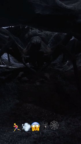 My phobja is the number 8 but not the word 🍝ate #harrypotter #slytherin #gamer #twitch #scary #spiders #hbo #music #tiktok #h...