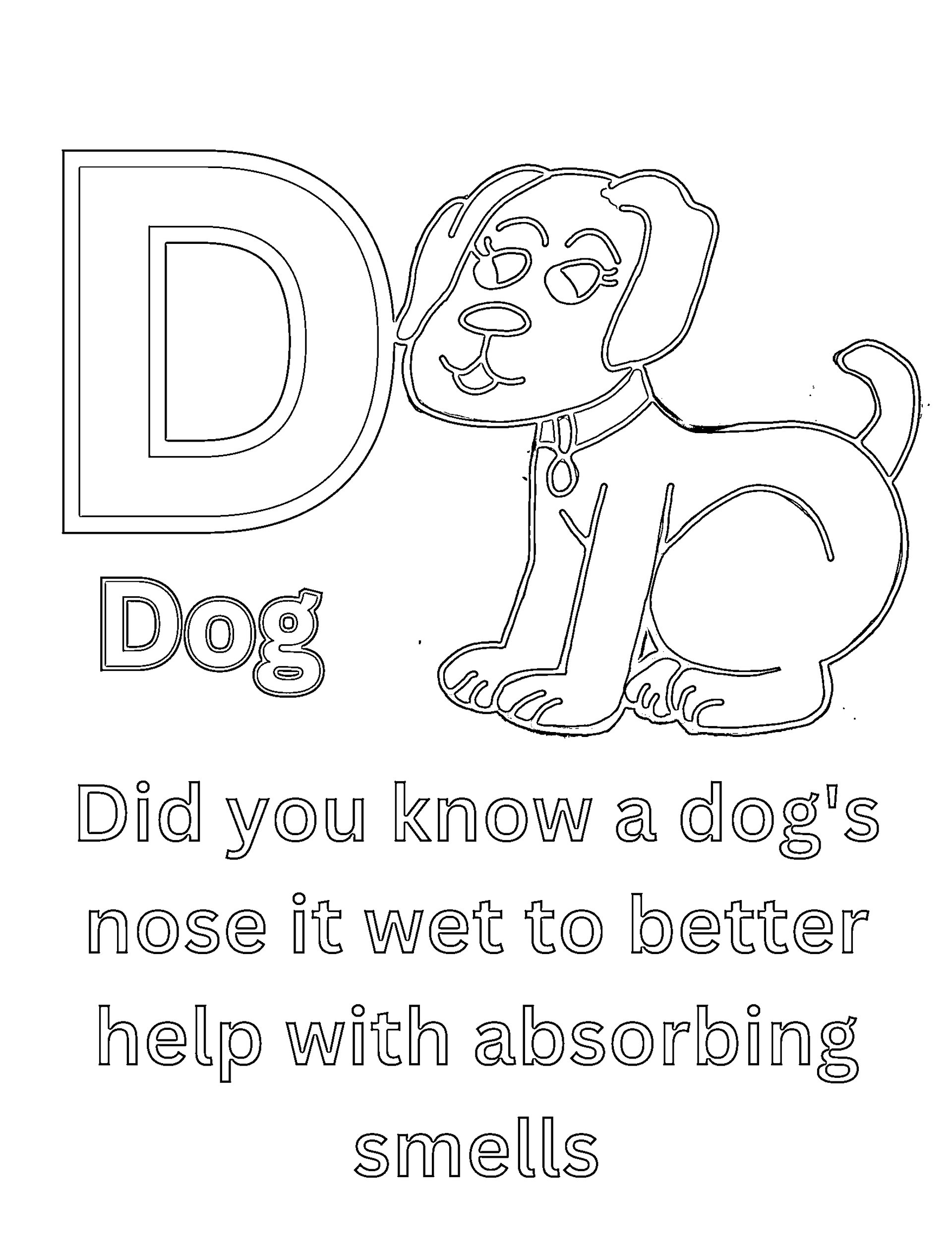 Cool Animal Facts for Kids ABCs Coloring Book product image (5)