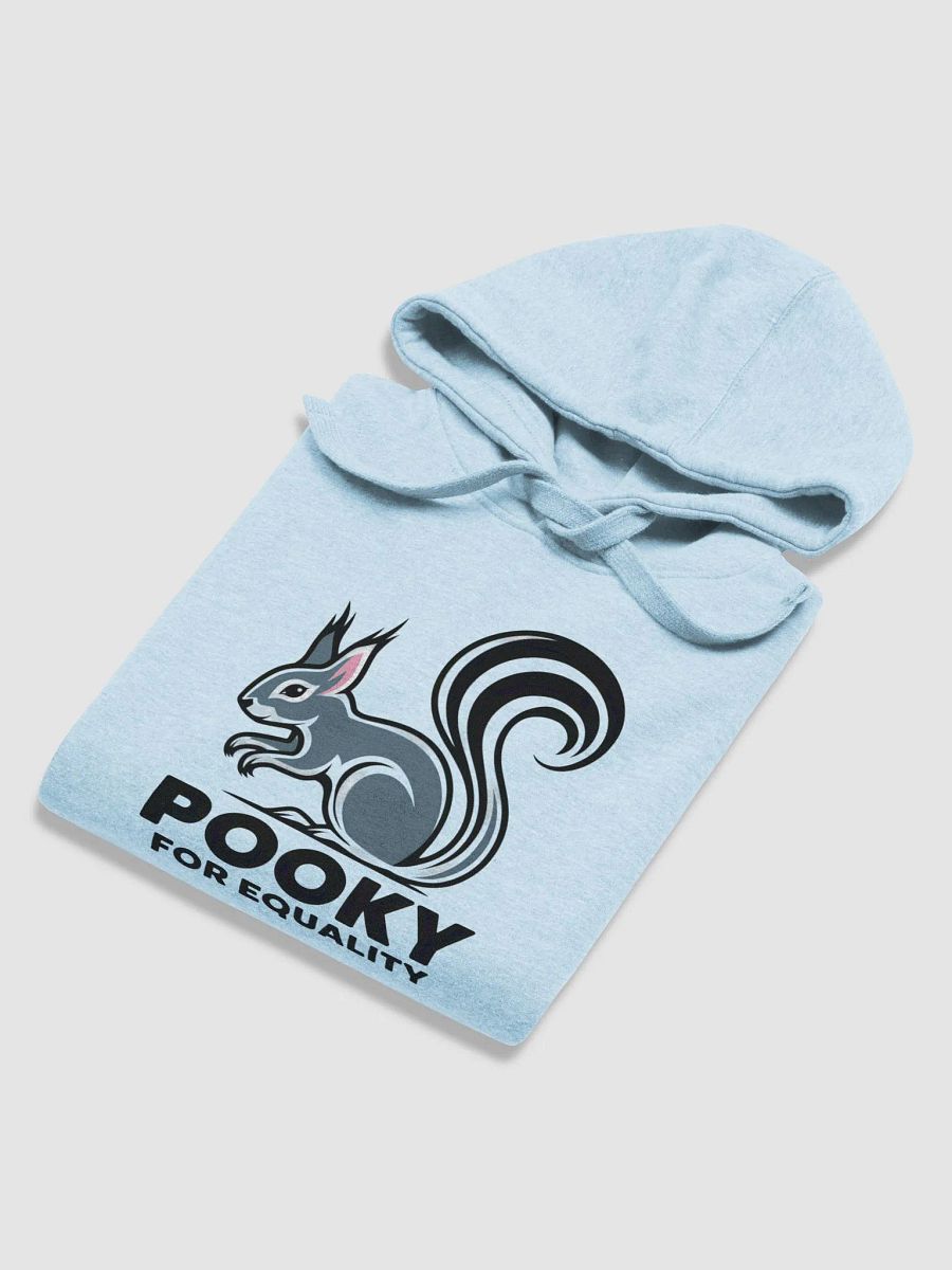 Super Soft and Comfy Hoodie: Pooky for Equality product image (6)