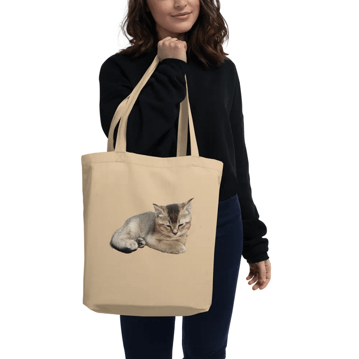 Sleepy Toby's Tote product image (2)
