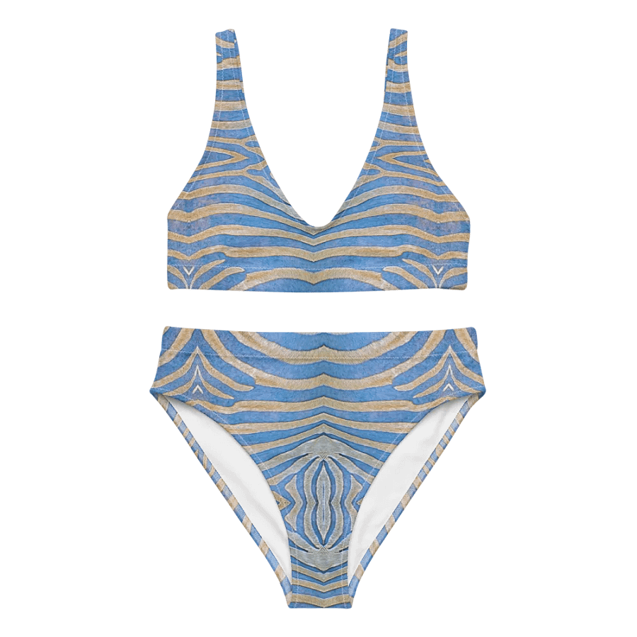 Zebra stripes in dove blue Bikini product image (9)