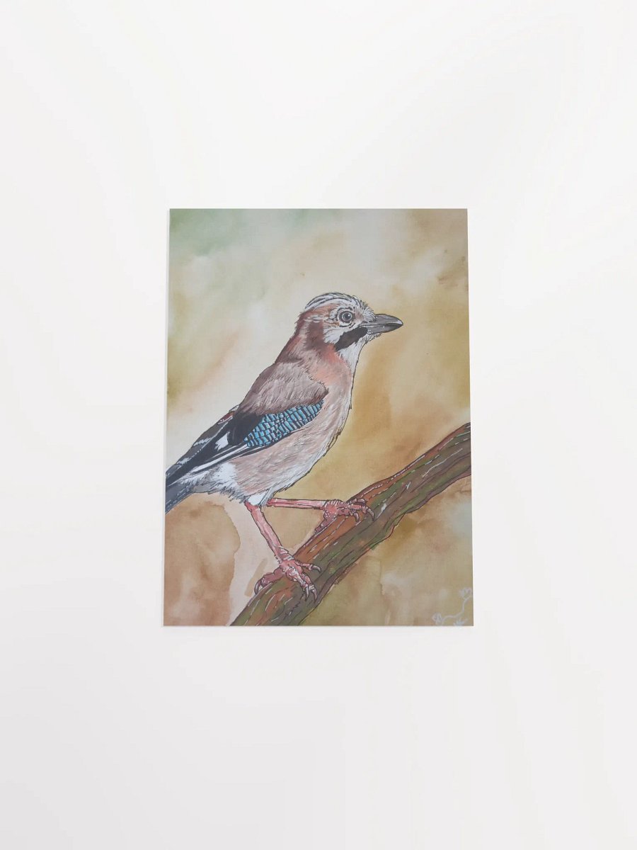Corvis Series [01] Eurasian jay poster print product image (4)