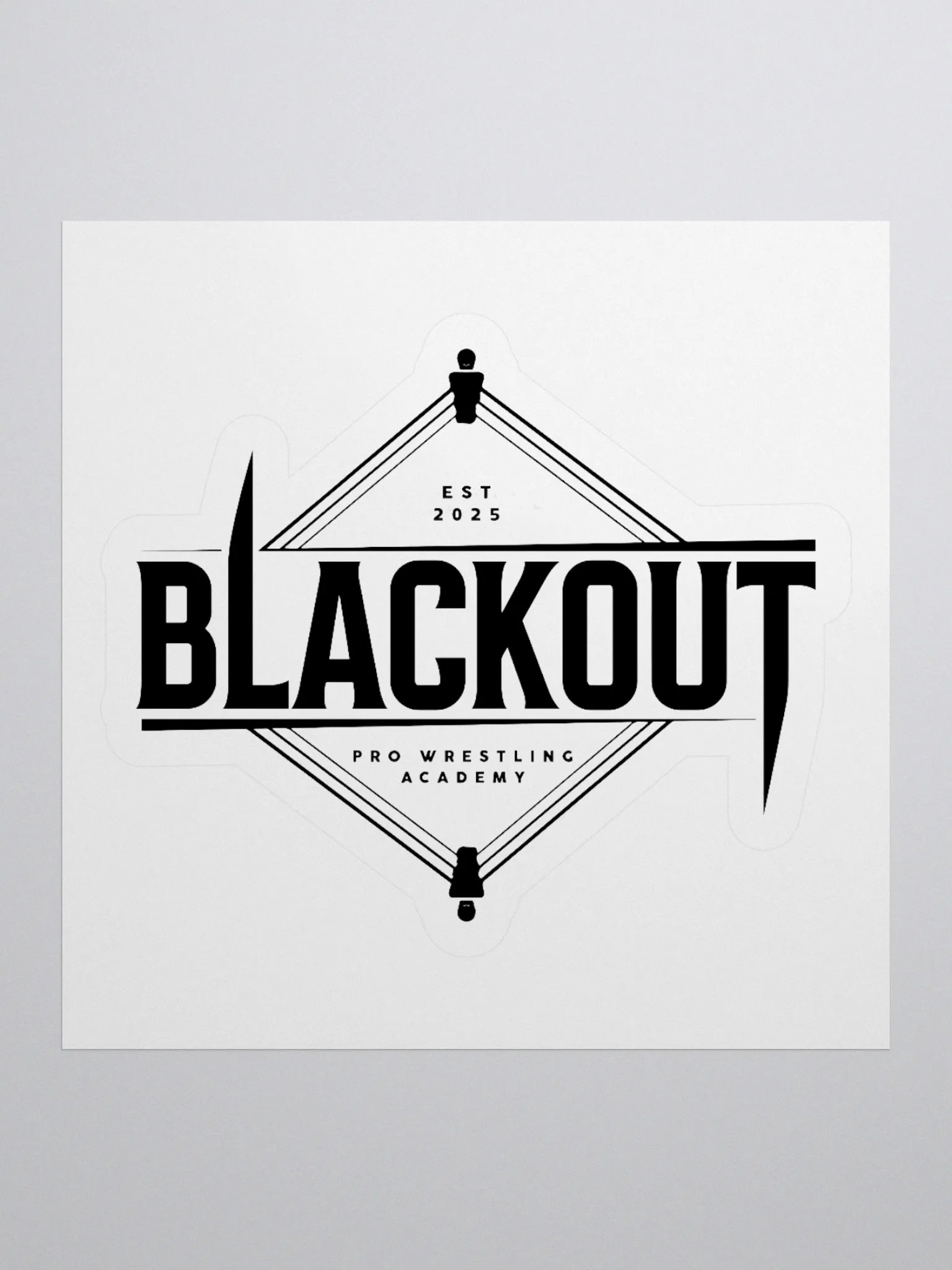 DMW x BLACKOUT Sticker product image (1)