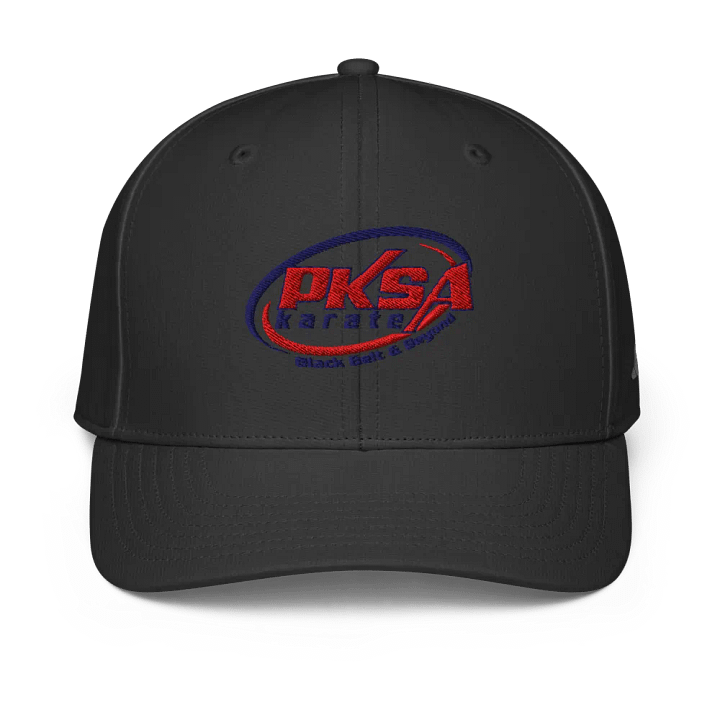 Black Belt & Beyond Adidas Performance Cap product image (1)