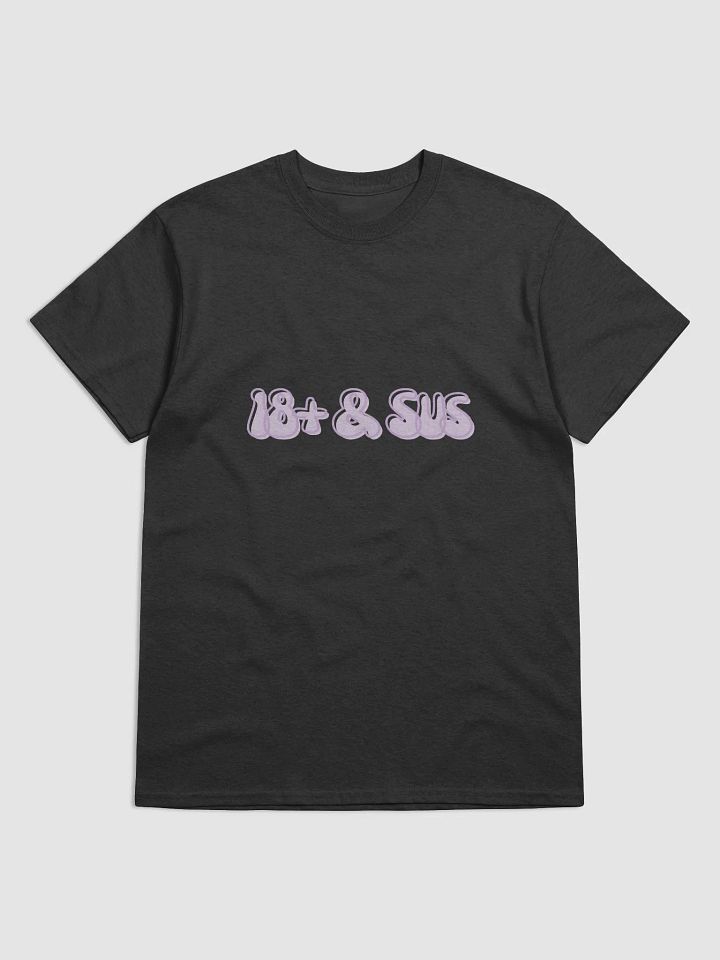 18+ & Sus Shirt product image (3)