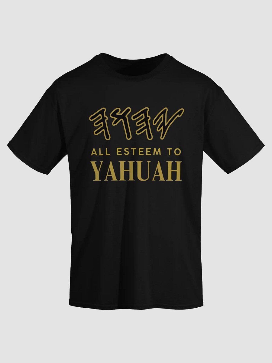 Yasharal Original Music: All Esteem To YAHUAH | T-Shirt | Black product image (3)