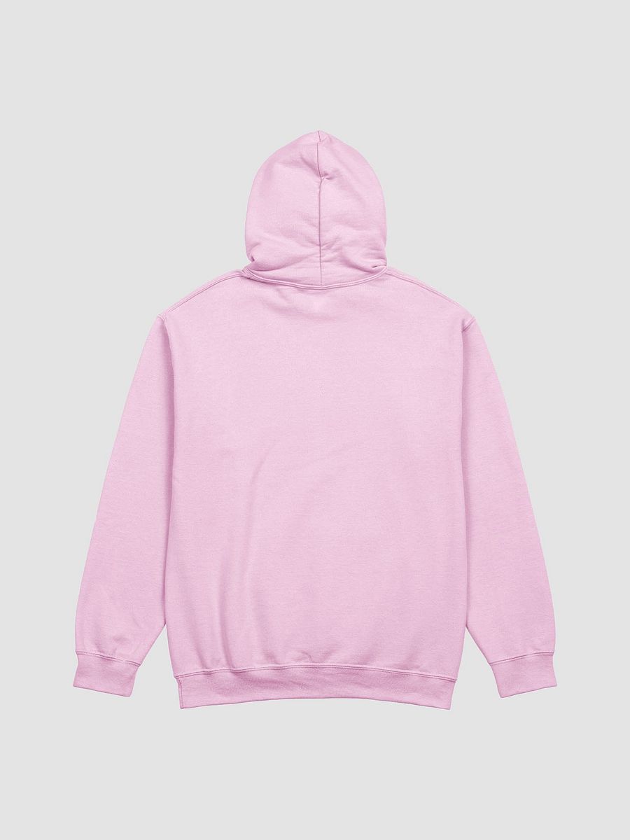 HYPE HOODIE product image (2)
