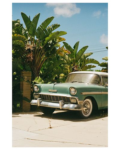 Mint Condition - Olympus OM4T | Kodak Gold 200

Film Hibernation is over! Today’s the day! The sun is shining, the lenses are...