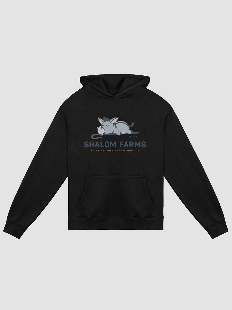 AS Color Premium Oversize Hoodie Full Logo product image (1)