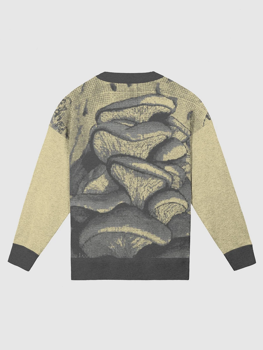 Oyster Mushrooms Sweater (Mellow) product image (7)