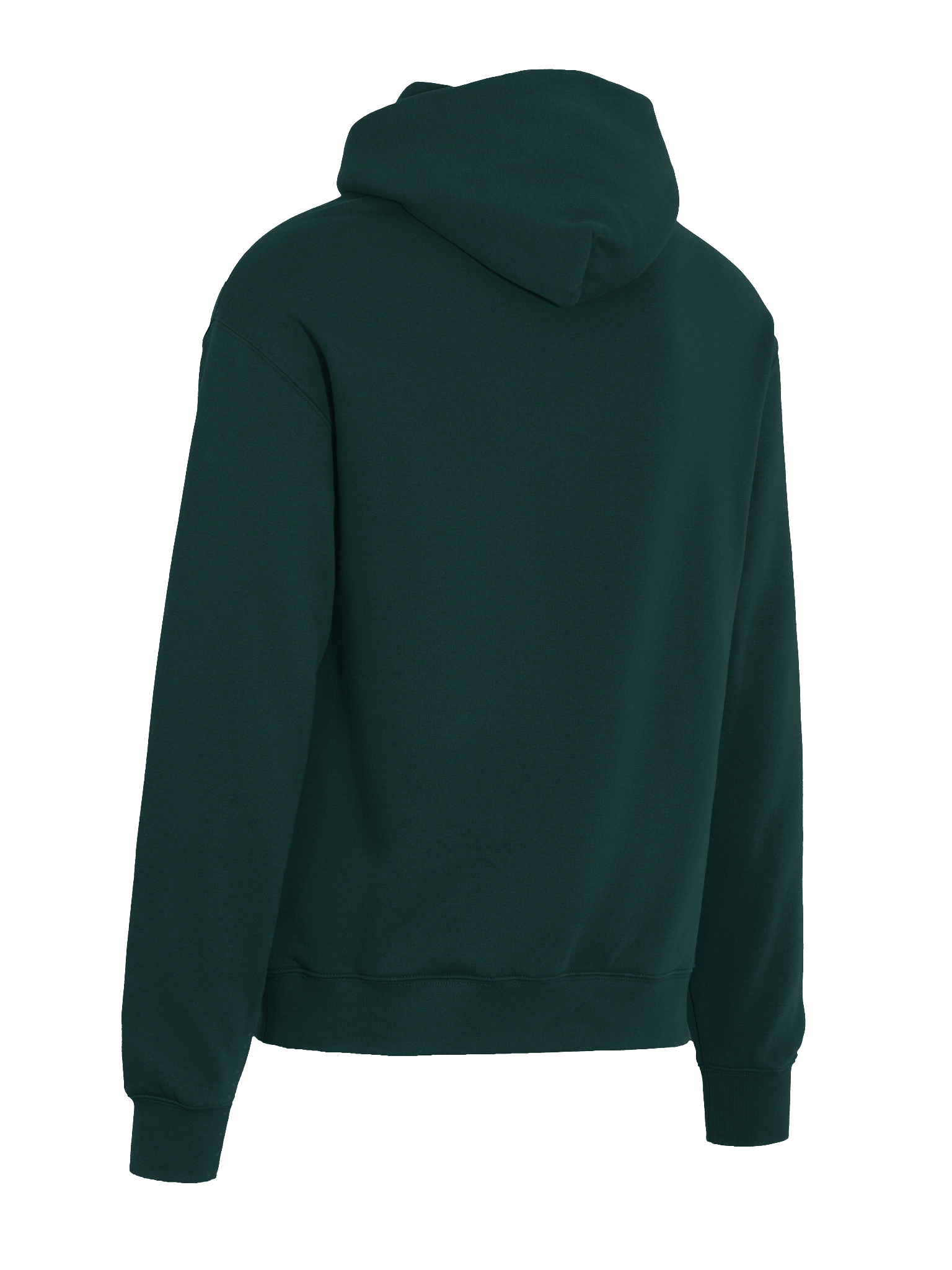 Racoon Pearl Premium Oversized Hoodie product image (6)