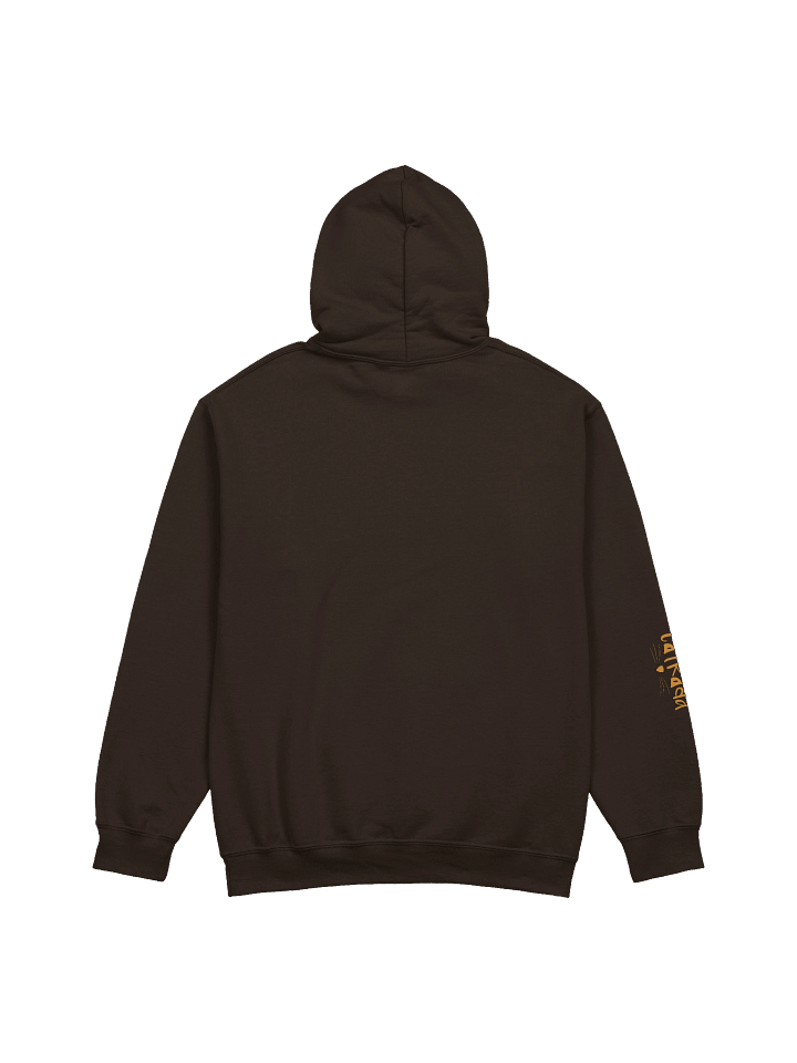 ORANGE CAT ENERGY HOODIE product image (6)