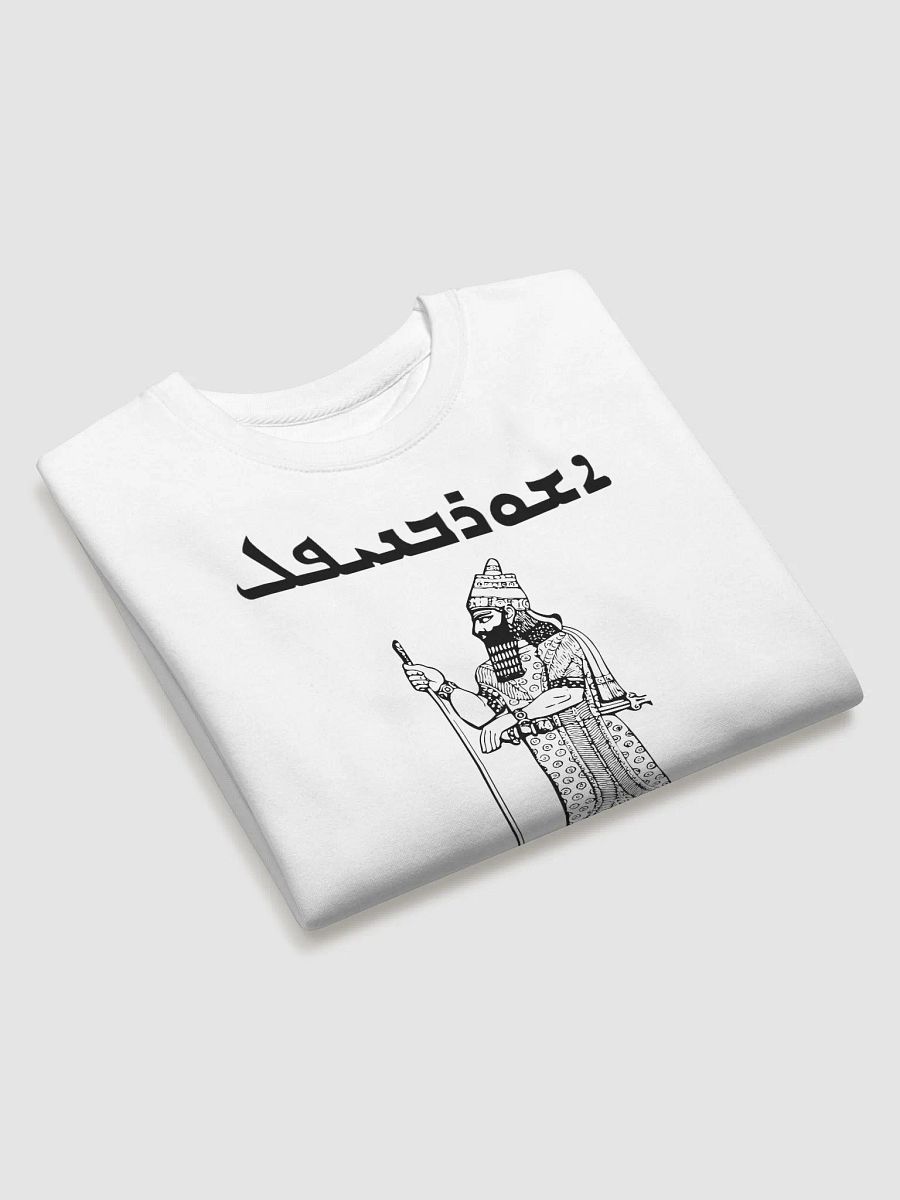 Ashurbanipal - The King of Ashur product image (3)