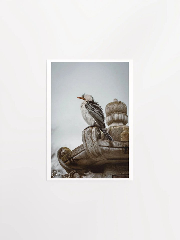 Patience - Print product image (1)
