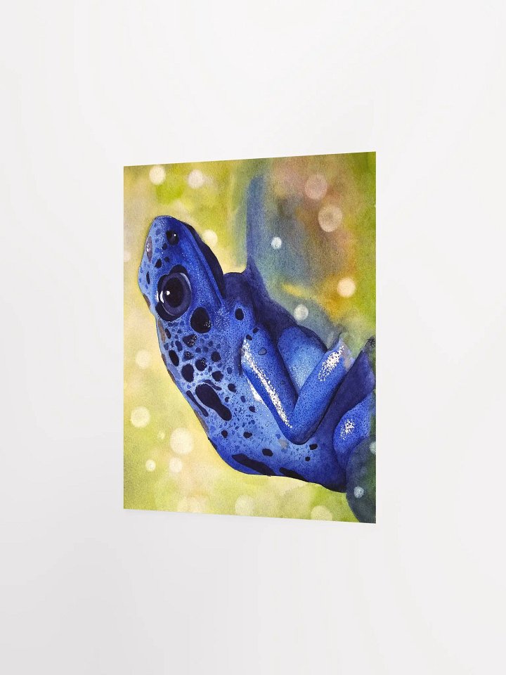 Randolf - Poison dart frog - print product image (2)