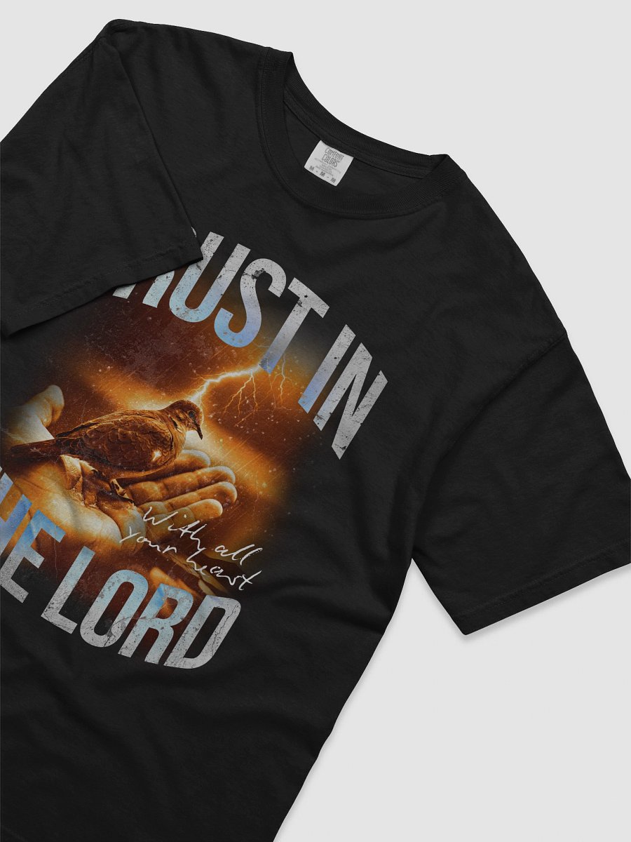 Trust In God With All Your Heart Heavyweight Tee product image (4)