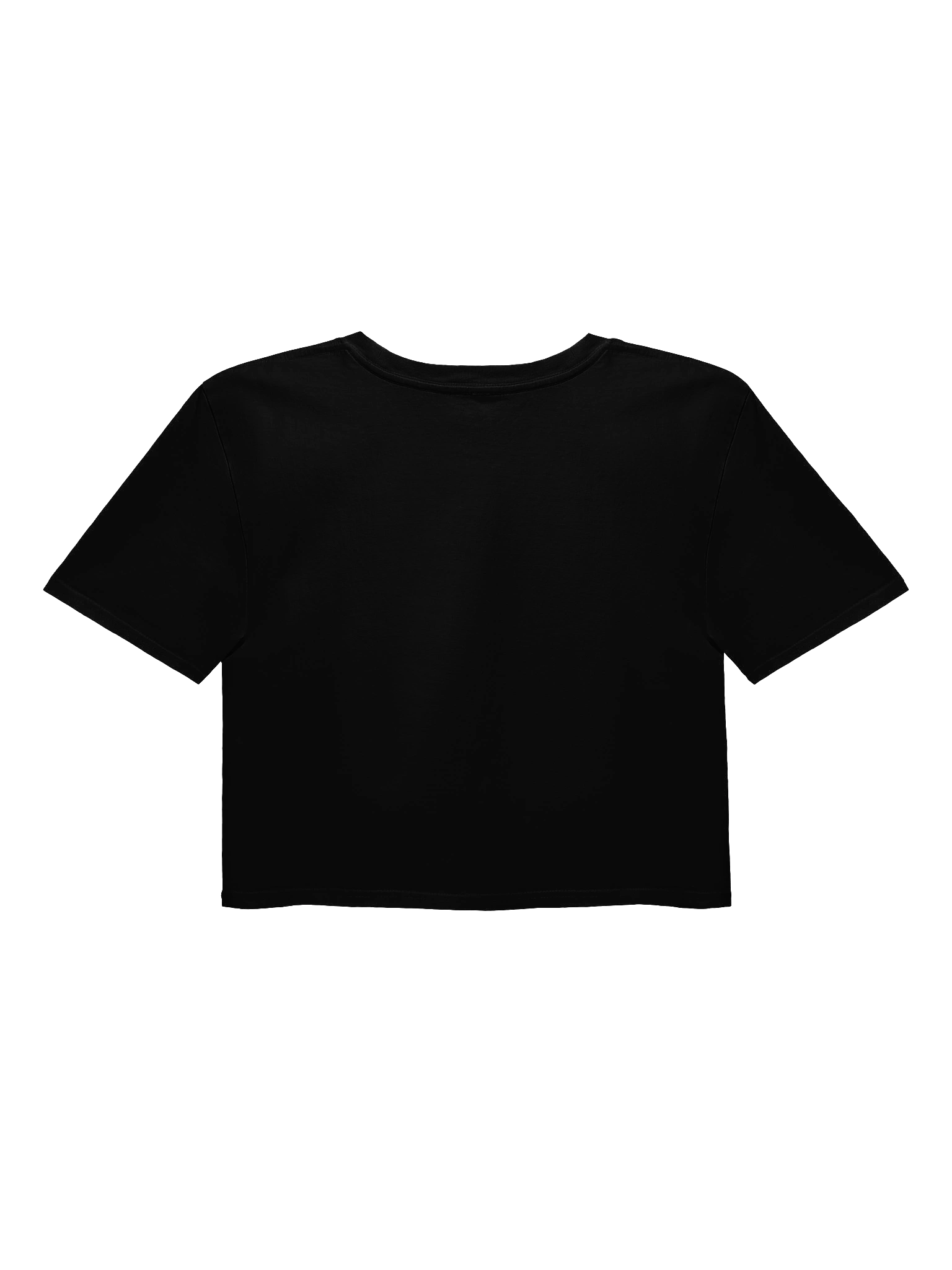 BANNED CROP TOP product image (3)