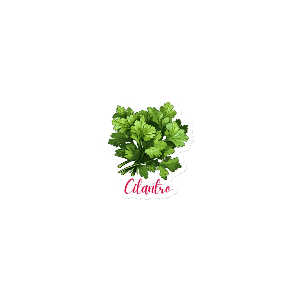 Cilantro Herb Magnet product image (1)