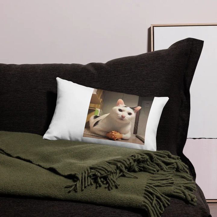 Pawsitively Human Pillow Case product image (13)