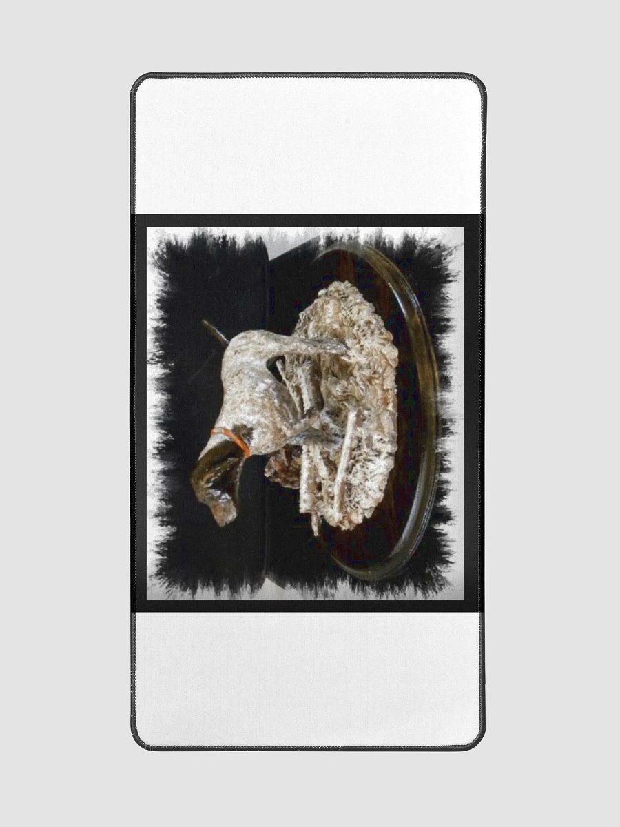 German Shorthair Pointer product image (2)