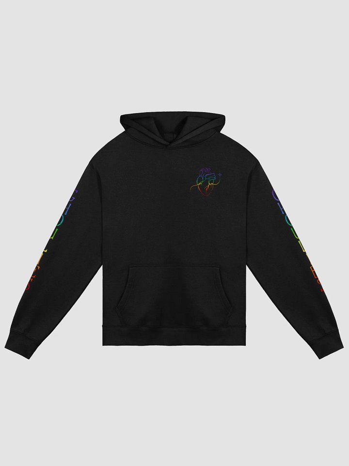 Take Pride Hoodie product image (1)