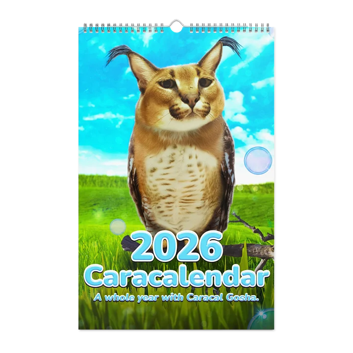 BIG CARACALENDAR 2026 (Limited Edition) product image (1)