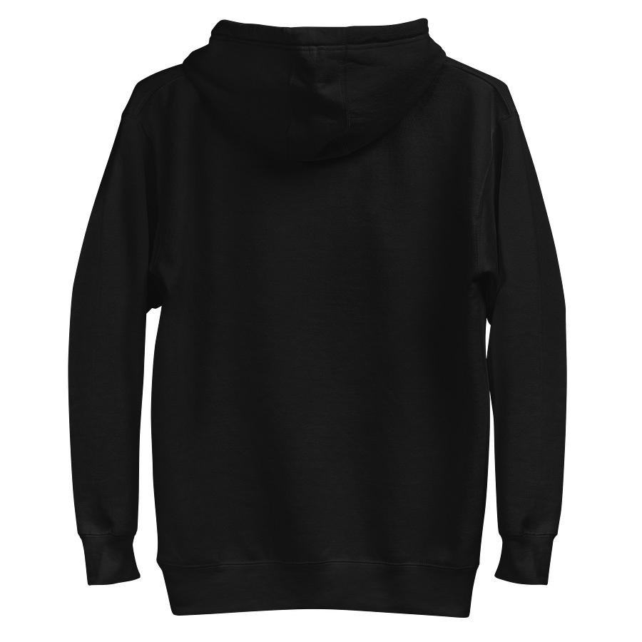Exclusive Oversized Embroidery Hoodie product image (3)