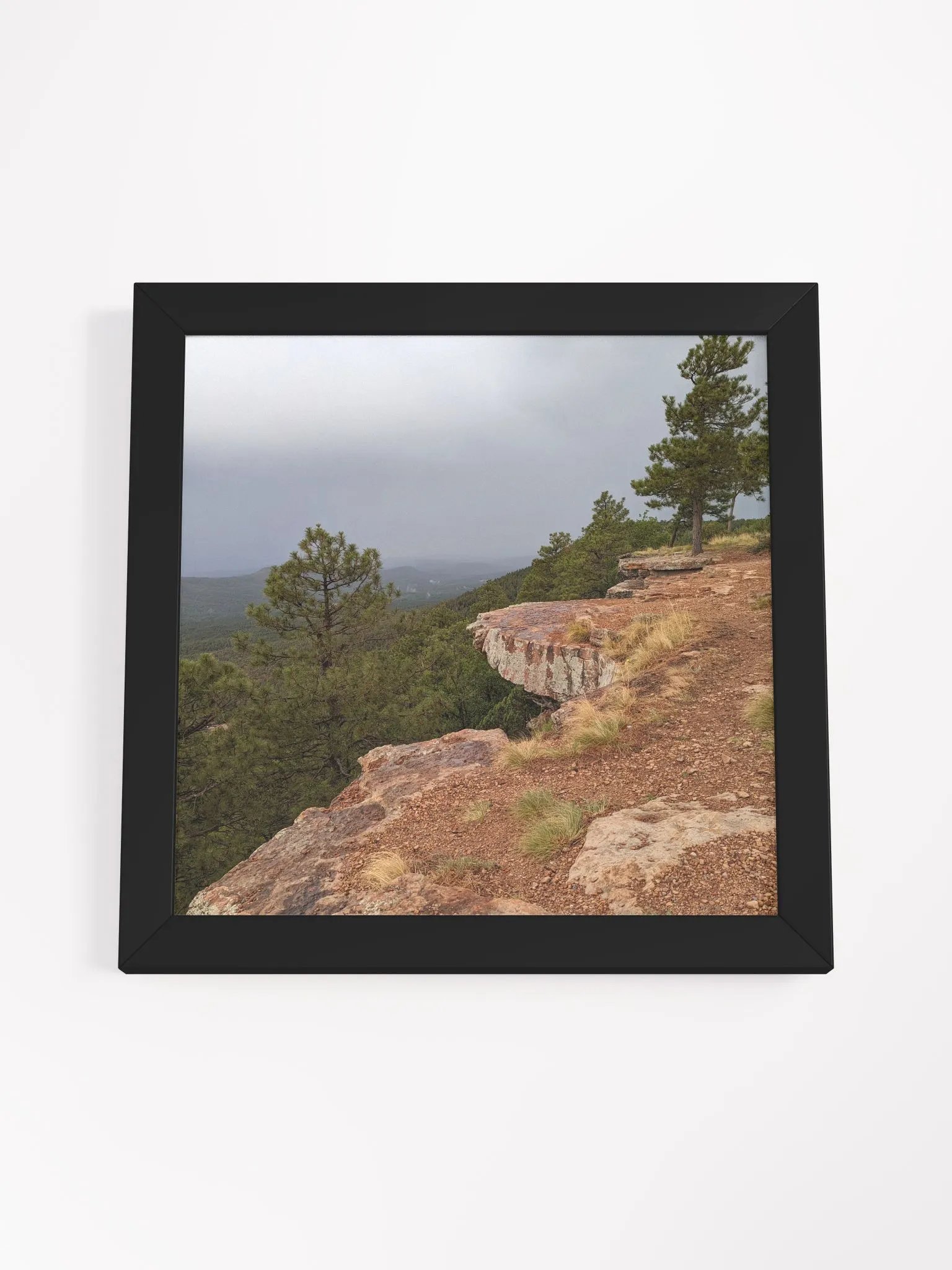 Mogollon Rim Framed Photograph product image (11)