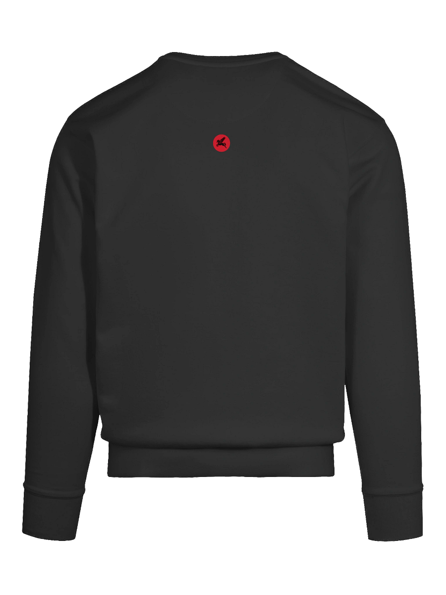 Mysteries of Mythology Hoodie - Distorted Logo Sweat product image (11)